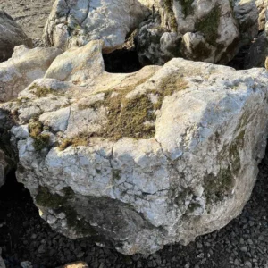 Валун мармуровий сіро-білий Гірський / Карпатський