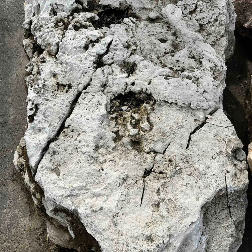 Вапняк, світло-сірий, валун - Зображення 4