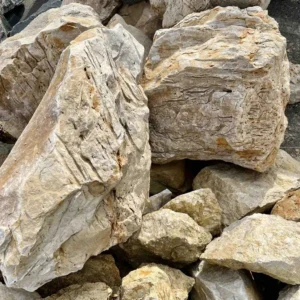 Валун "Піщаник"/"Мурашник"